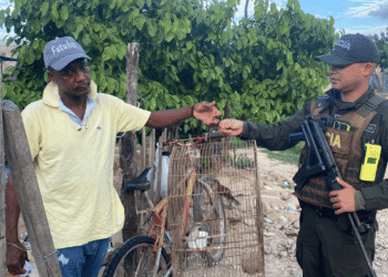 Recuperan dos aves silvestres en operativo ambiental en Riohacha; quedaron bajo cuidado de Corpoguajira