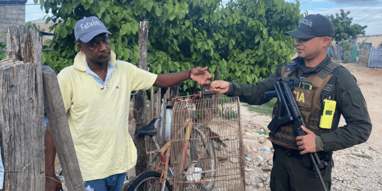 Recuperan dos aves silvestres en operativo ambiental en Riohacha; quedaron bajo cuidado de Corpoguajira