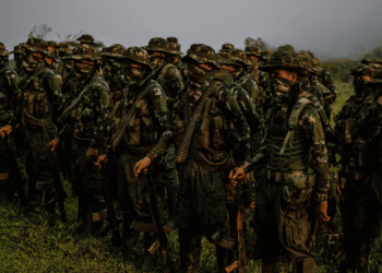 Grupos armados en Colombia superan los 25.000 miembros, según informe de la Fuerza Pública y la FIP