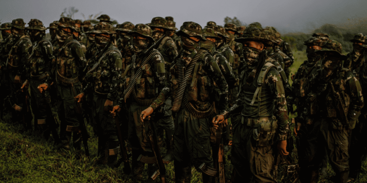 Grupos armados en Colombia superan los 25.000 miembros, según informe de la Fuerza Pública y la FIP