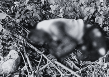 Hallan muerto a joven venezolano con varios disparos en zona rural de Barrancas