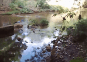 Hallan el cuerpo sin vida de un hombre en el balneario Tinajoncito, zona rural de Albania