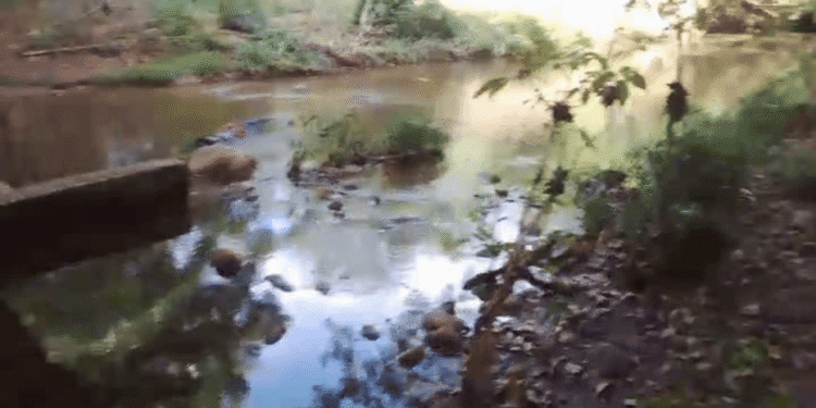 Hallan el cuerpo sin vida de un hombre en el balneario Tinajoncito, zona rural de Albania