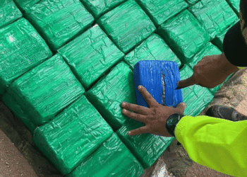 En el mes de Octubre se incautaron 800 kilos de marihuana