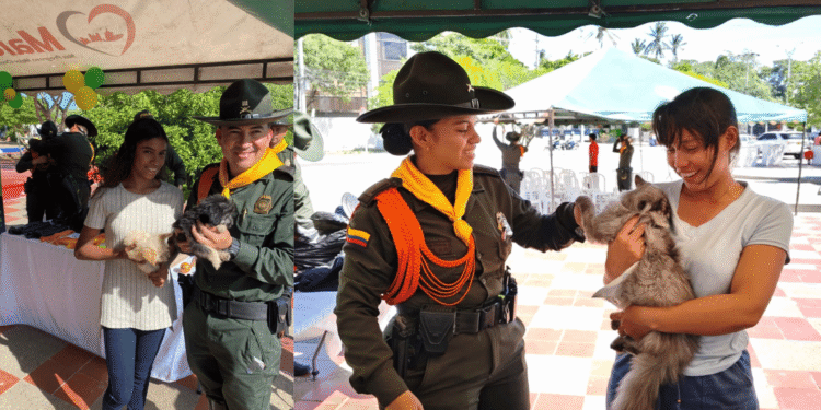 Más de 120 mascotas fueron atendidas en jornada de vacunación y desparasitación en Riohacha