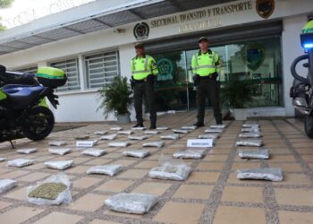 Incautan 24 kilos de marihuana ocultos en encomienda durante operativo en Barranquilla