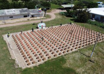 Incautan más de 3,5 millones de cigarrillos de contrabando en Maicao