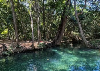 Promueven acción popular para declarar sujeto de derecho al Manantial de Cañaverales y frenar la actividad minera