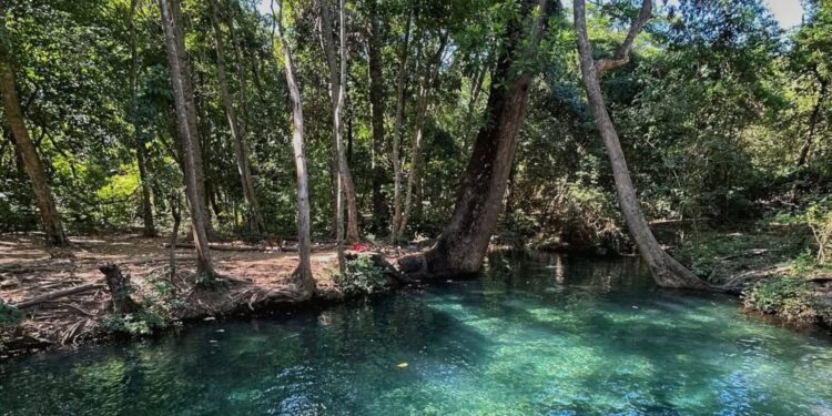 Promueven acción popular para declarar sujeto de derecho al Manantial de Cañaverales y frenar la actividad minera