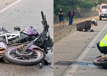 Trágico accidente en la vía Papayal–Barrancas: mujer muere y hombre resulta herido al impactar contra un semoviente