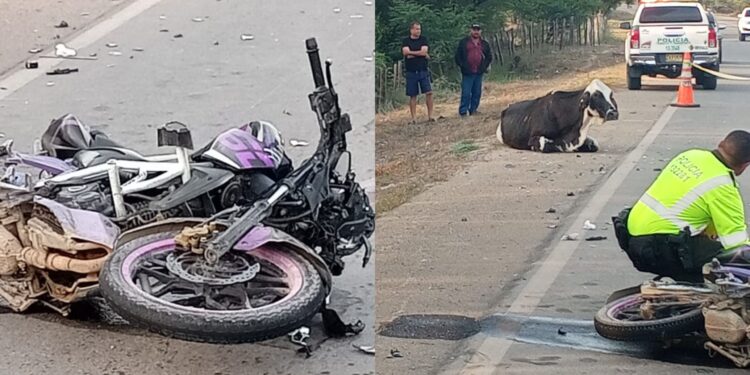 Trágico accidente en la vía Papayal–Barrancas: mujer muere y hombre resulta herido al impactar contra un semoviente