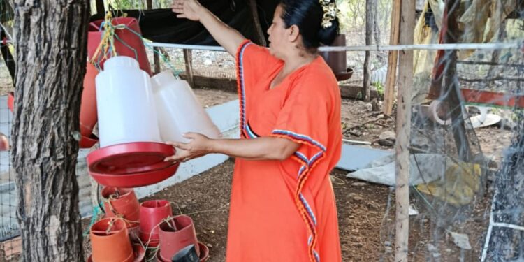 Comunidad rural de Fonseca denuncia hurto de más de $4 millones y productos de una tienda local