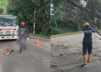 Bomberos de Villanueva despejan la vía a Urumita tras caída de un árbol