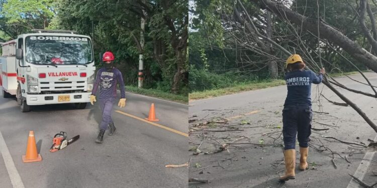 Bomberos de Villanueva despejan la vía a Urumita tras caída de un árbol