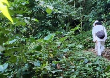 Investigan incendio en la Sierra Nevada que cobró la vida de un hombre y un niño de la comunidad wiwa