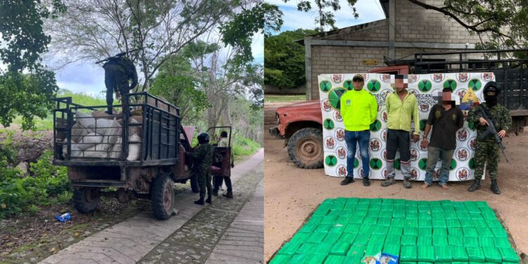 Incautan 105 kilogramos de marihuana en zona rural de Villanueva