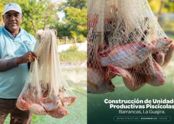 Fondo Mixto Sierra Nevada impulsa el desarrollo rural en Barrancas con nuevas unidades productivas piscícolas