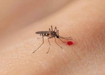 Alerta por aumento de casos de dengue en el Magdalena: 1.933 contagios y dos menores fallecidos en 2025