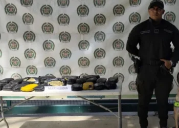 Incautan 13 kilos de marihuana enviados como encomienda a Santa Marta