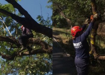 Bomberos de Villanueva intensifican labores de prevención ante fuertes vientos