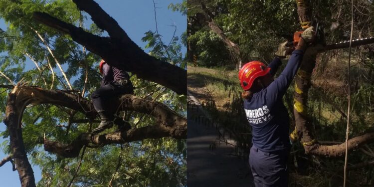 Bomberos de Villanueva intensifican labores de prevención ante fuertes vientos