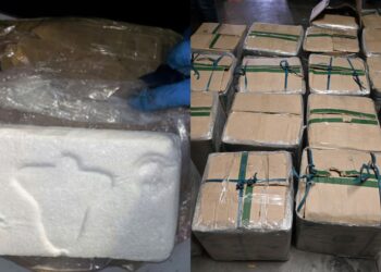 Incautan más de mil paquetes de droga en Panamá y capturan a tres personas, entre ellas un colombiano