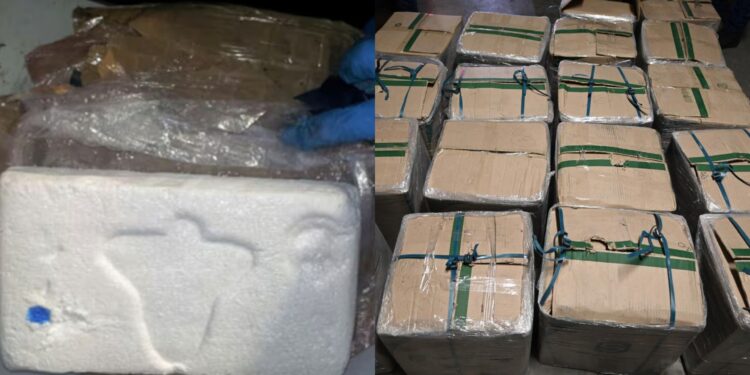 Incautan más de mil paquetes de droga en Panamá y capturan a tres personas, entre ellas un colombiano