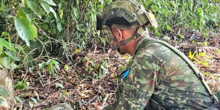 Destruyen artefacto explosivo de manera controlada en zona rural de San Juan del Cesar