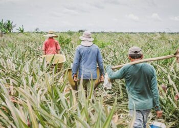 $48 billones después… el fracaso que nadie quiere admitir