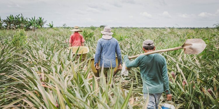 $48 billones después… el fracaso que nadie quiere admitir