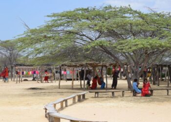 Cuando el bloque de búsqueda fue para la vida (pero llegó tarde)