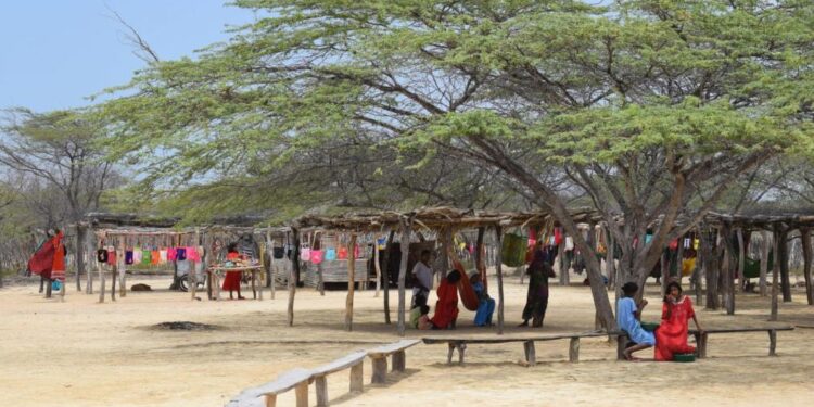 Cuando el bloque de búsqueda fue para la vida (pero llegó tarde)