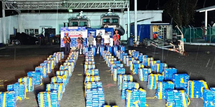 MinDefensa reporta aumento del 300% en incautaciones de drogas en la frontera con Ecuador