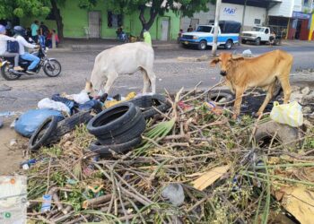 Despliegan campaña de seguimiento y control ambiental en los 15 municipios de La Guajira