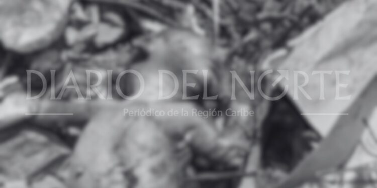 Hallazgo de recién nacido en zona de residuos genera consternación en el barrio La Majayura II