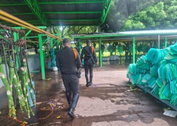 Policía Nacional refuerza presencia en fincas bananeras en La Guajira