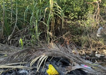Gobernación de La Guajira refuerza llamado preventivo ante riesgo de incendios forestales