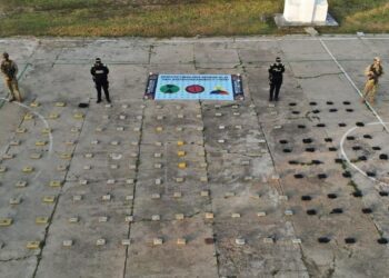 Incautan cerca de 90 kilos de marihuana en operación conjunta en zona rural de Maicao