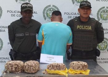 Capturan a hombre por tenencia ilegal de carne de tortuga marina en Riohacha