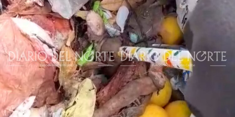 Macabro hallazgo: encuentran restos de un bebé en relleno sanitario de Riohacha