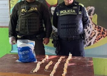 Decomisan 122 huevos de iguana en operativo contra el tráfico ilegal en Puebloviejo, Magdalena