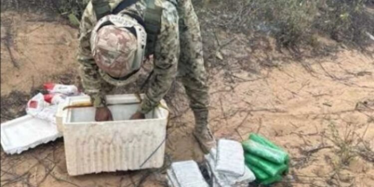 Incautan 16 libras de marihuana en zona rural de Maicao