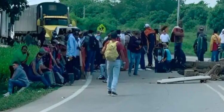 Campesinos de la Sierra Nevada anuncian paro indefinido en la Y de Ciénaga desde el 16 de enero