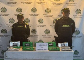 Hallan 16 libras de marihuana en operativos conjuntos en Maicao