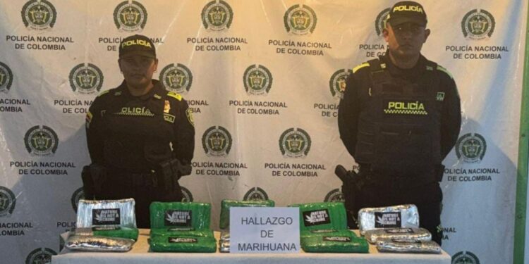 Hallan 16 libras de marihuana en operativos conjuntos en Maicao
