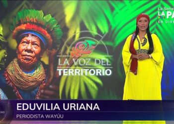 Eduvilia Uriana: periodista wayuu que llegó al canal nacional de Rtvc Noticias como presentadora