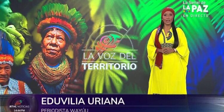 Eduvilia Uriana: periodista wayuu que llegó al canal nacional de Rtvc Noticias como presentadora