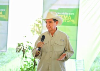 FEDEGÁN advierte que suspender exportaciones agravaría la crisis del sector ganadero