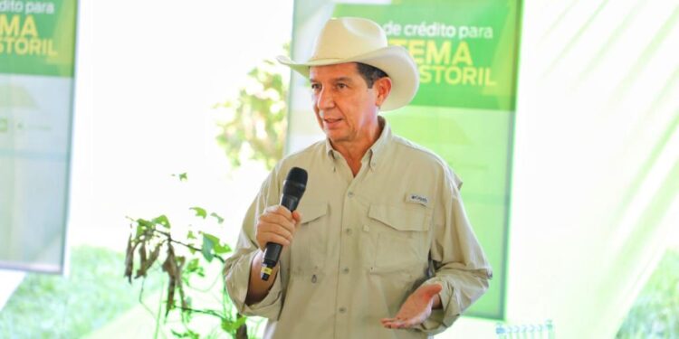 FEDEGÁN advierte que suspender exportaciones agravaría la crisis del sector ganadero