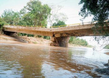 Incautan cerca de 250 gramos de marihuana durante operativo policial en Manaure